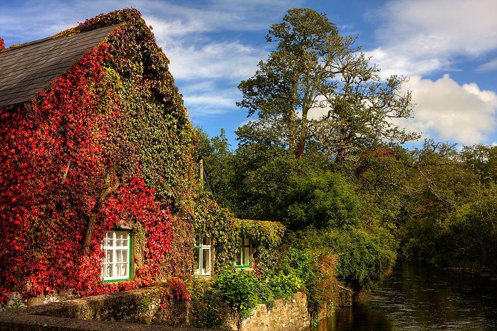 Cong Riverview House Villa Eksteriør billede